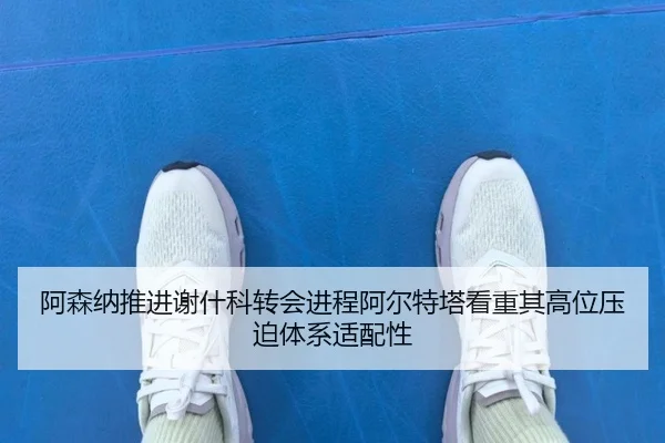阿森纳推进谢什科转会进程阿尔特塔看重其高位压迫体系适配性